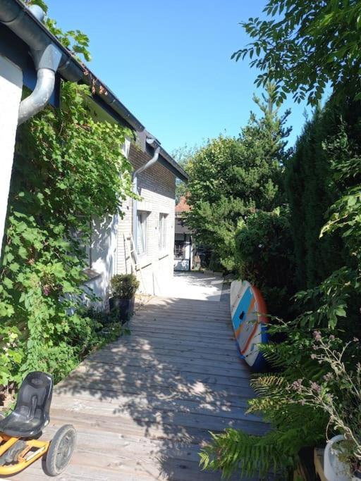 Apartment Im Bademantel An Den - Maisonette